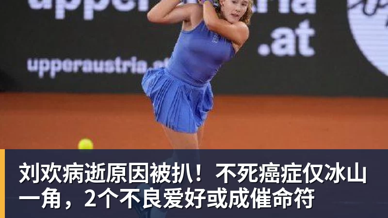剑指湘超2026赛季:俩强援俩旧将,传奇教练到位,邵阳队大揭密 - 开云app官方在线入口 - 开云(中国)