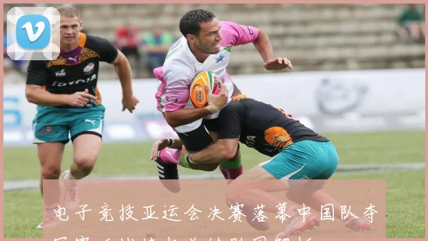 开云app官方在线入口