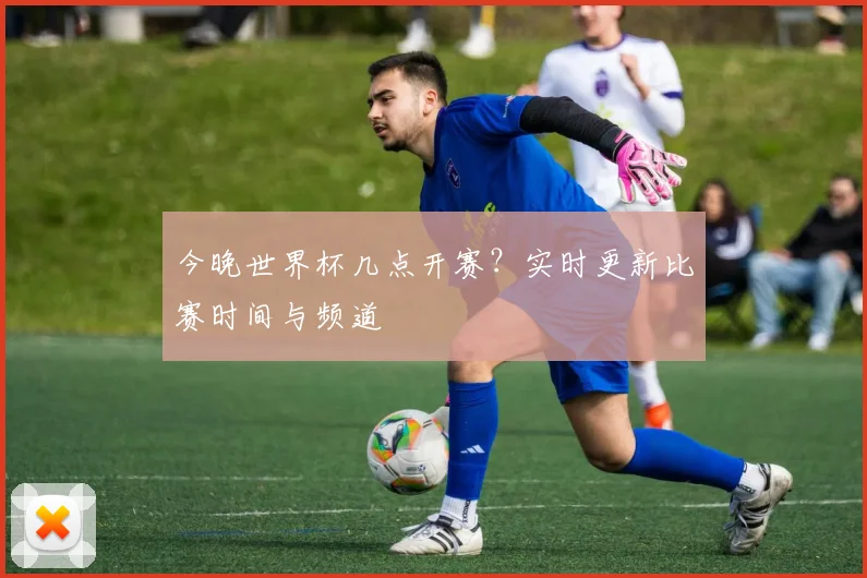 开云app官方在线入口