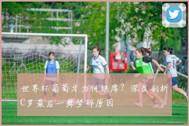 开云app官方在线入口