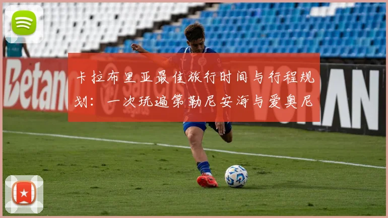 开云app官方在线入口